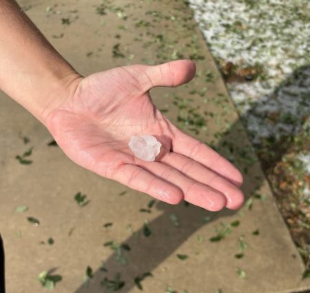 a two inch hail stone in Austin large enough to cause roof damage