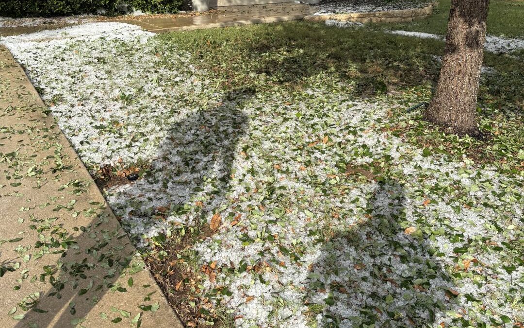 Hail Damage in Austin, TX: A Complete Guide