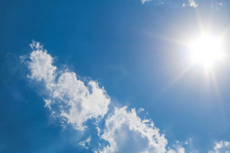 bright sunlight streaming down on a hot summer day in Texas